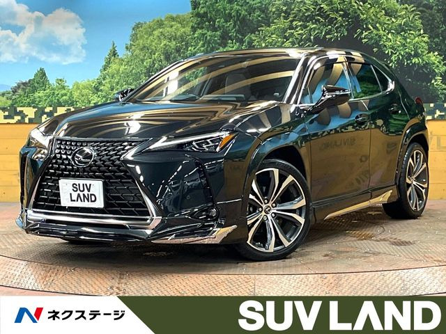 UX250h グレイスフル エクスプローラー