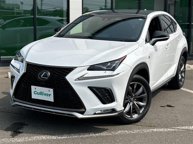 NX300 Fスポーツ 4WD