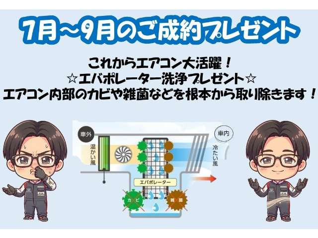 N-VANファン