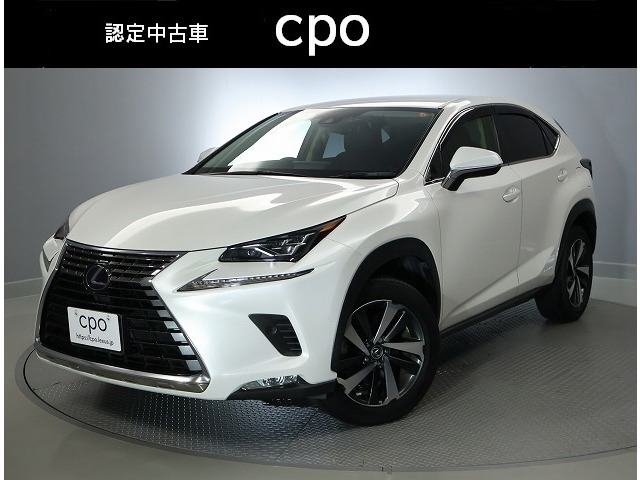 NX300h Iパッケージ