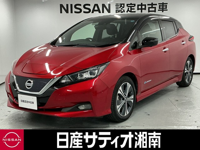 リーフG