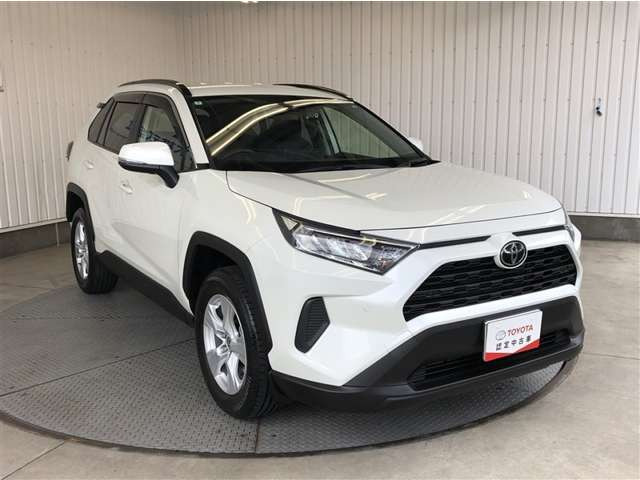 RAV42.0 X