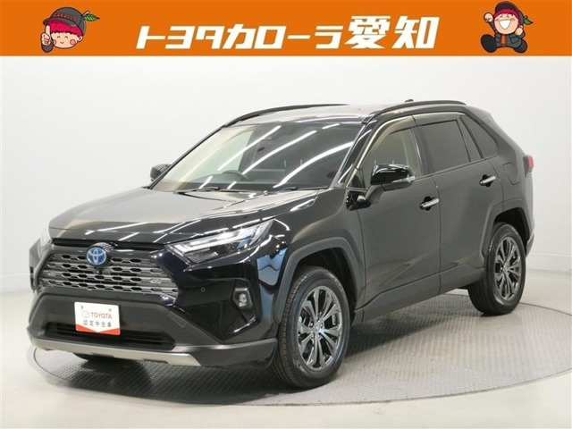 RAV42.5 ハイブリッド G E-Four 4WD