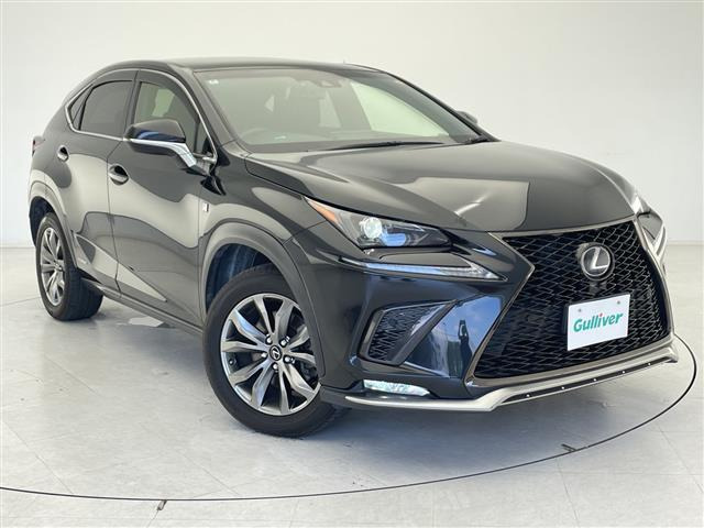 NX300h Fスポーツ