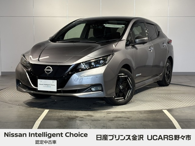 リーフX