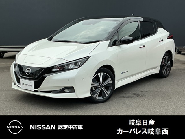 リーフG
