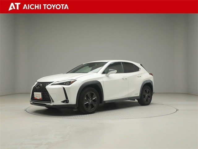 UX250h バージョンC