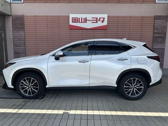 NX