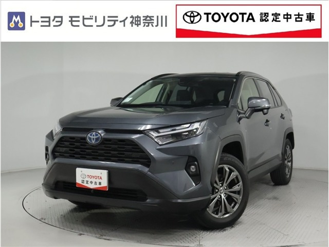 RAV42.5 ハイブリッド X