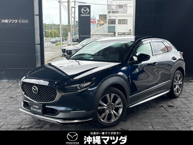 CX-30