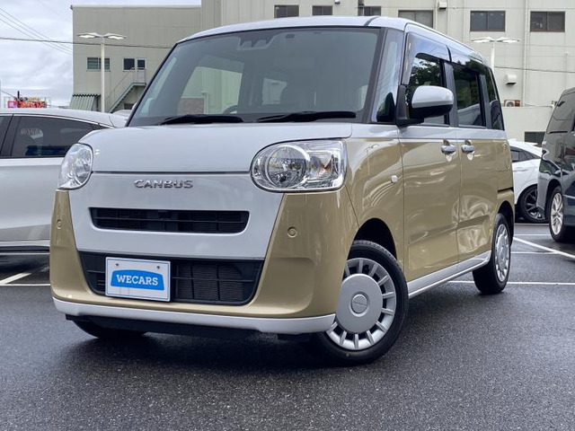 ムーヴキャンバスストライプス X