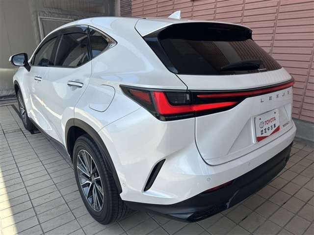 NX