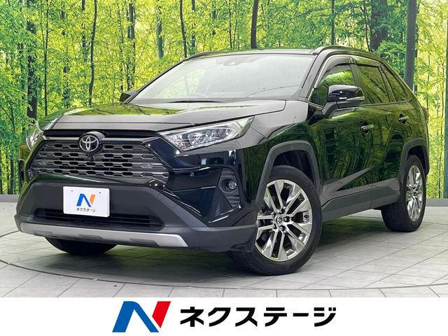 RAV42.0 G Zパッケージ 4WD
