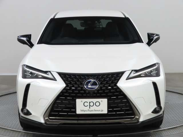 UX250h