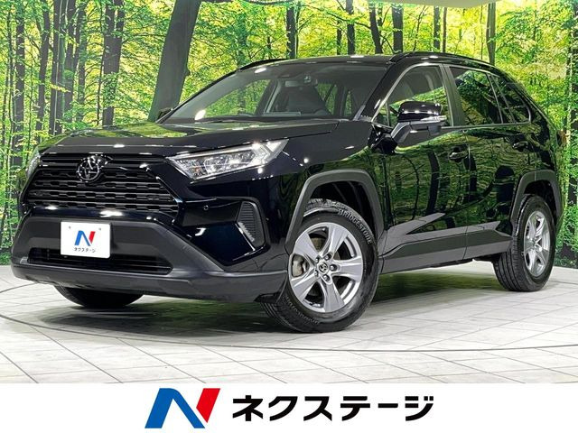 RAV42.0 X