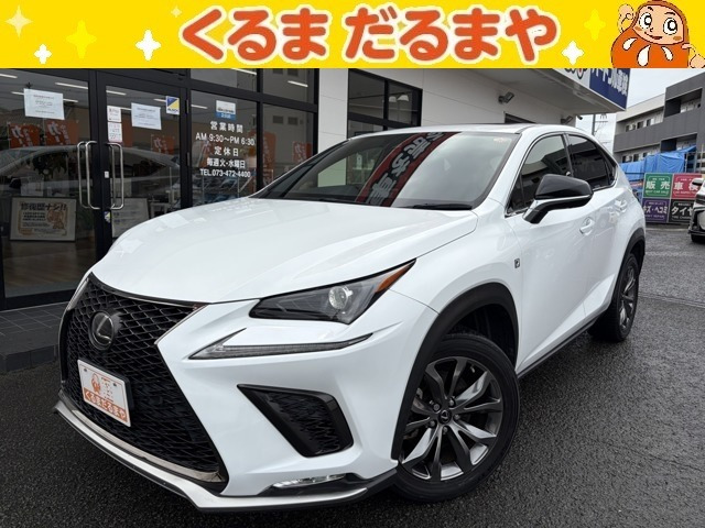 NX300 Fスポーツ