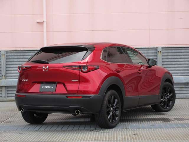 CX-302.0 20S