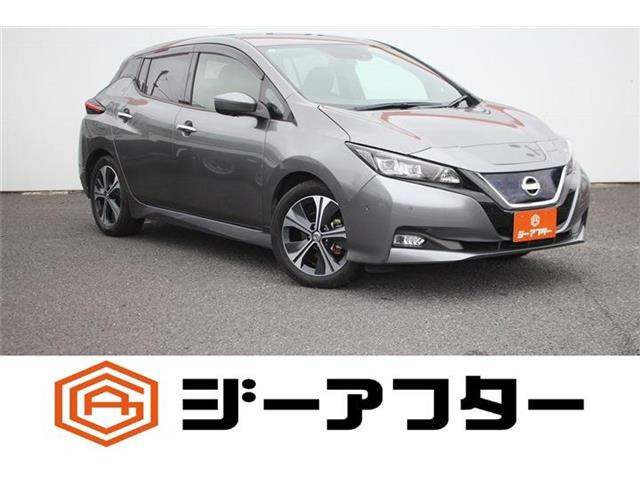 リーフG