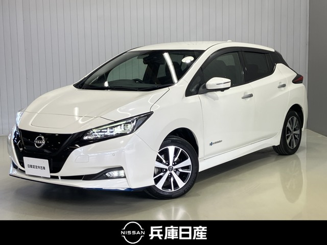 リーフe+ X