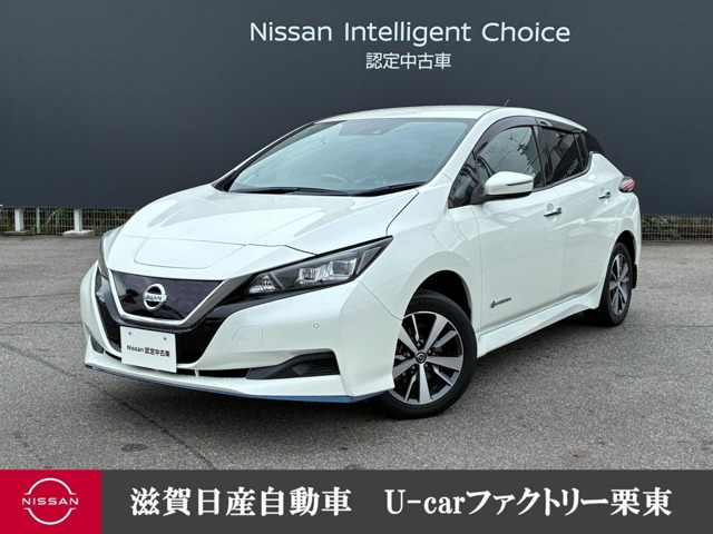リーフe+ X