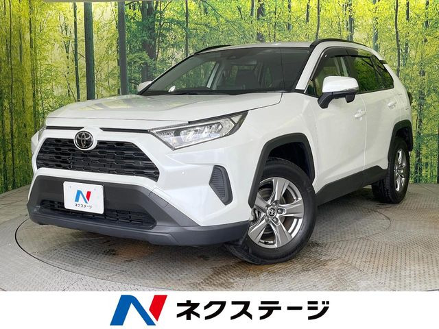 RAV42.0 X