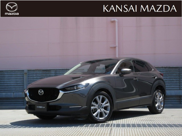 CX-301.8 XD Lパッケージ