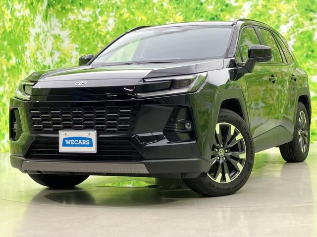 RAV42.5 Z E-Four 4WD