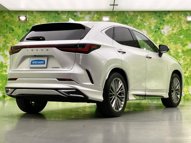 NX250 バージョンL