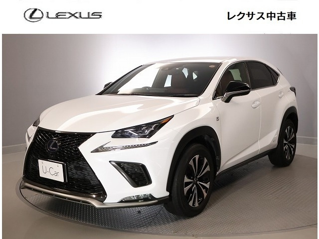 NX300h Fスポーツ