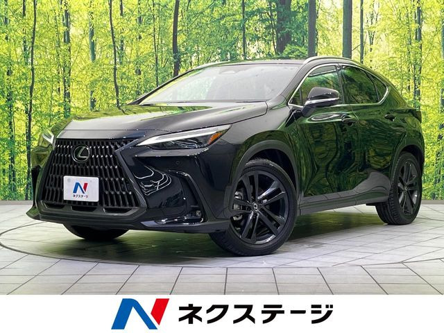 NX350h バージョンL