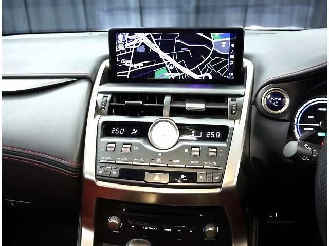 NX300h Fスポーツ