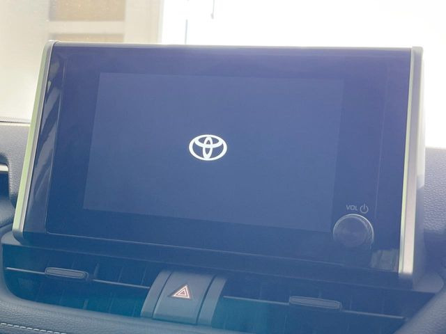 RAV42.0 X
