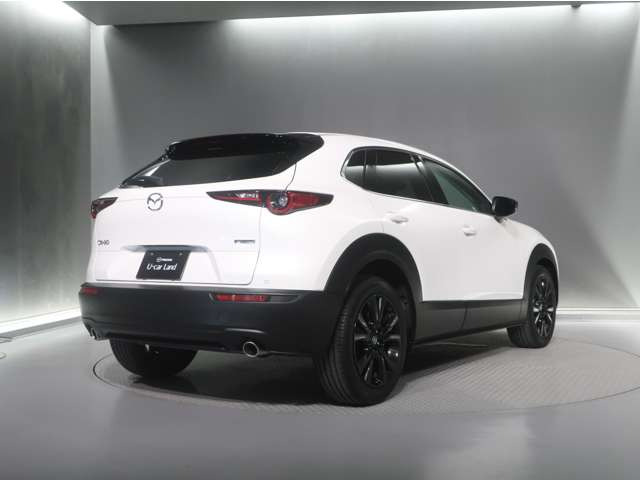 CX-302.0 20S