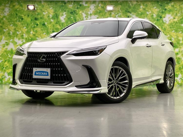 NX250 バージョンL