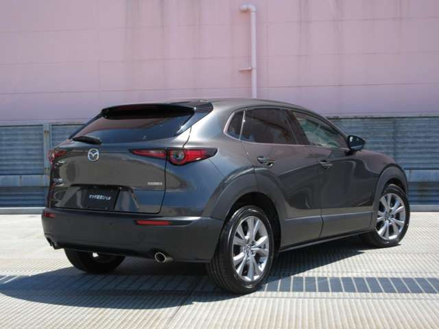CX-301.8 XD Lパッケージ