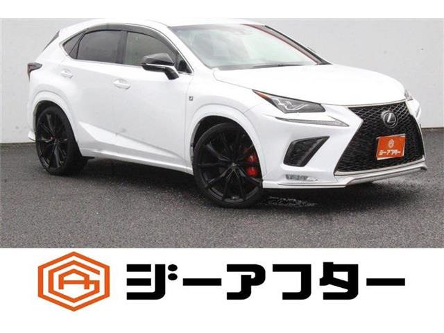 NX300 Fスポーツ