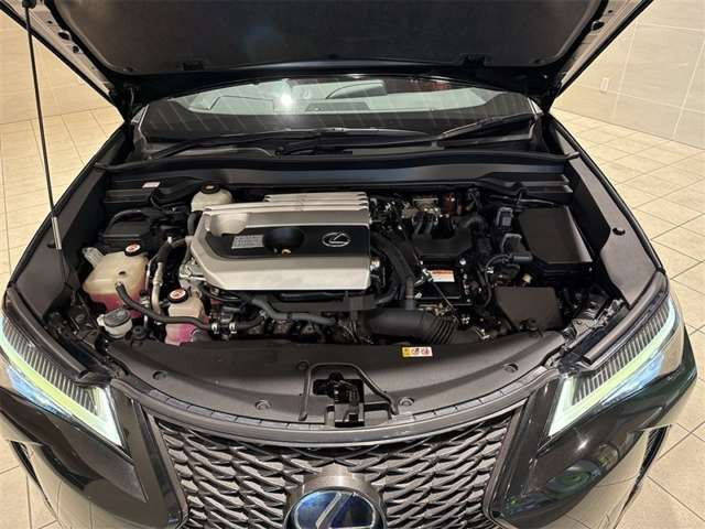UX250h Fスポーツ