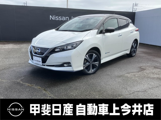 リーフe+ G