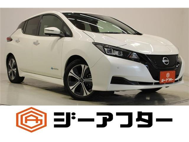リーフX Vセレクション