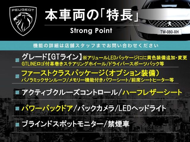 3008GTライン