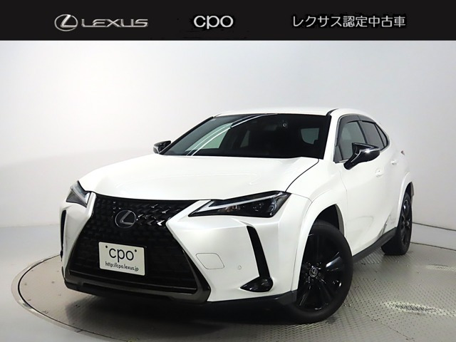 UX250h