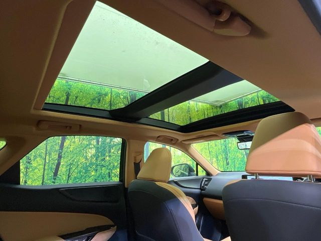 NX350h バージョンL