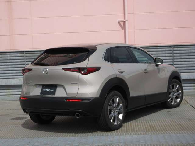 CX-302.0 20S プロアクティブ ツーリングセレクション