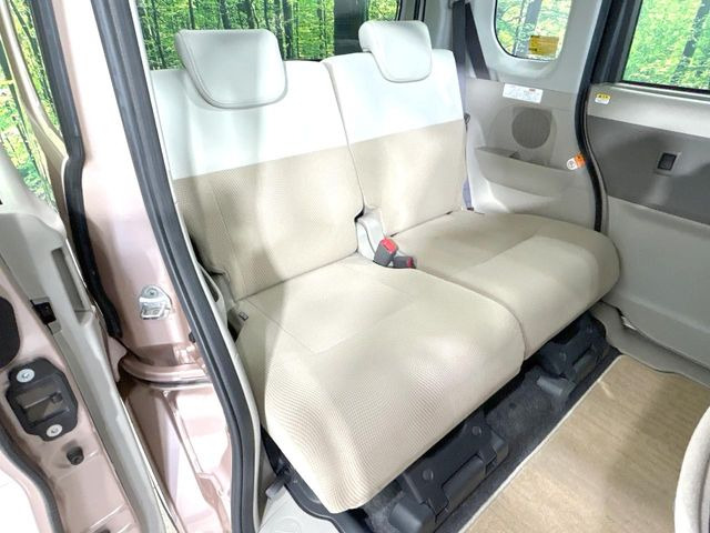�㕔���Ȃ��C�ɂȂ�悤�ȃL�Y�E�����ւ��蓙�A�傫�ȃ_���[�W�͂Ȃ��A�ǍD�ȏ�Ԃł��B