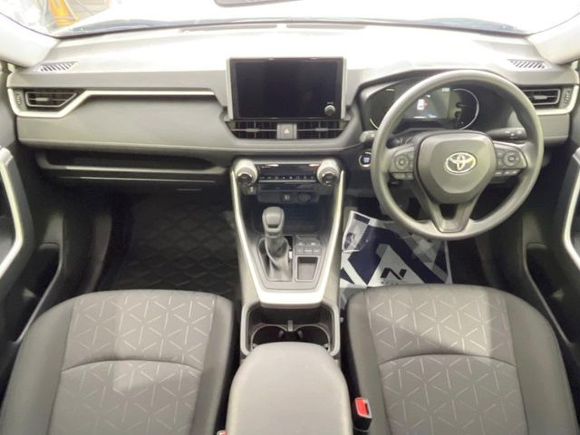 RAV42.0 X