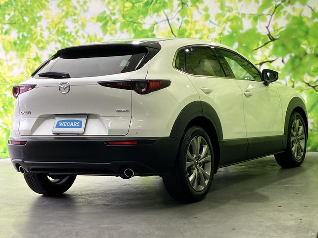 CX-301.8 XD Lパッケージ