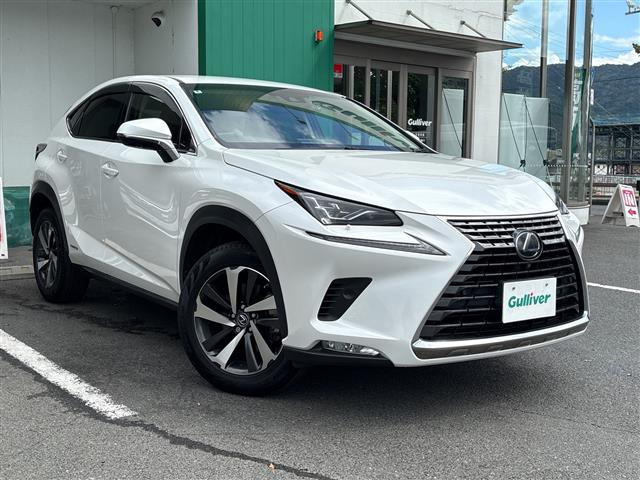 NX300h バージョンL