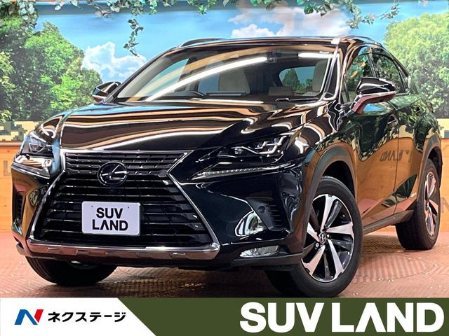 NX300h バージョンL