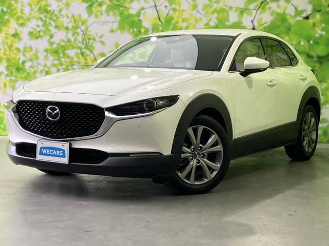 CX-301.8 XD Lパッケージ