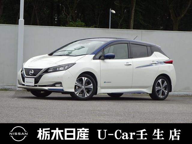 リーフG